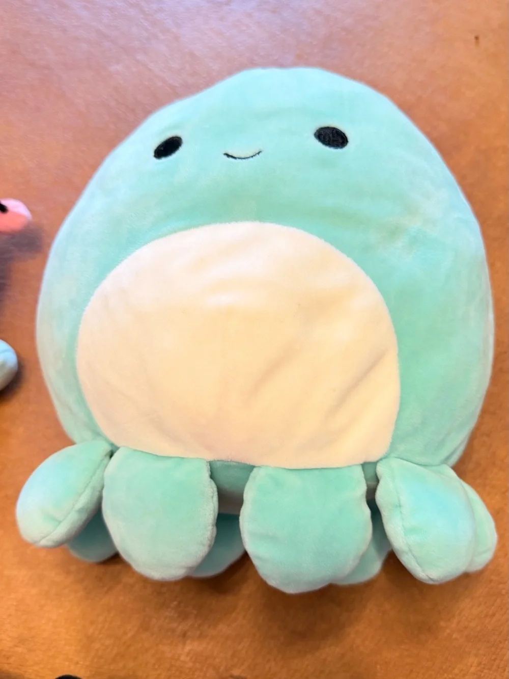 Cute Plushie Bundle | Kawaii Stuffed Animals | Great Condition -  All for $55